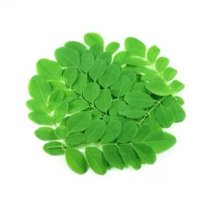 Moringa dried leaves