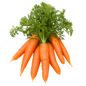 Dehydrated Carrot by Anitya Naturals
