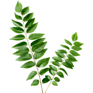 Dehydrated Curry Leaves