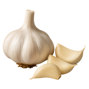 Dehydrated Garlic by Anitya Naturals