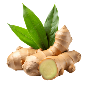 Dehydrated Ginger by Anitya Naturals