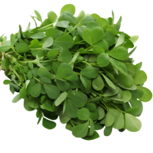 Dehydrated Kasuri Methi Leaves
