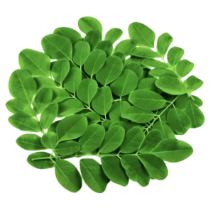 Dehydrated Moringa Leaves