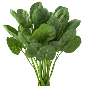 Dehydrated Spinach by Anitya Naturals