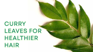 How Hair Care Manufacturers Source Botanical Curry Leaf Ingredients