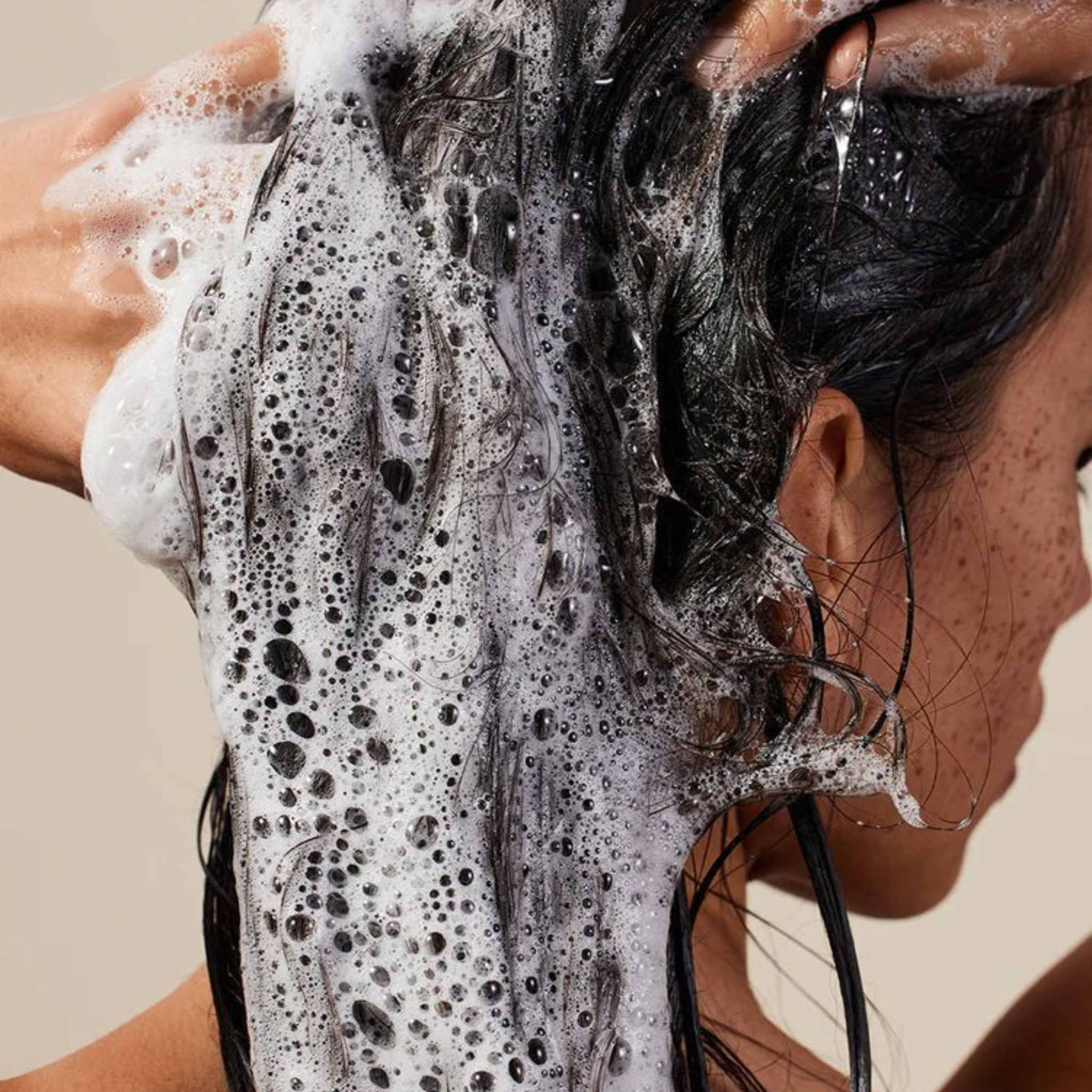 Shampoo and Conditioner for Hair With Curry Leaves extract By Anitya Naturals