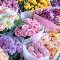 Dehydrated Flowers